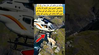 Helicopter pilot safe animal life shorts aviation trending [upl. by Hairim]