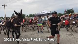 Highlights From the Buena Vista Pack Burro Race [upl. by Hsreh979]