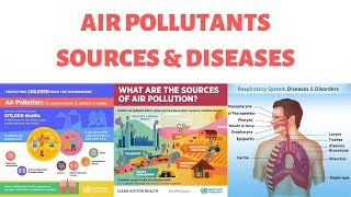 Air Pollutants  Sources and Associated Health EffectsDiseases [upl. by Chil616]