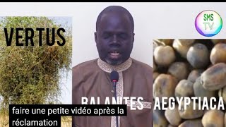 vertus du Balanites Aegyptiaca  SOUMP par pr Ousmane ndiaye [upl. by Meave298]