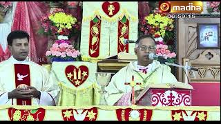 070620 HOLY MASS TAMIL [upl. by Robina]