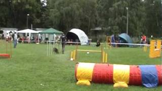 Nexee  Agility qualification for WC EO and IMCA [upl. by Cung397]