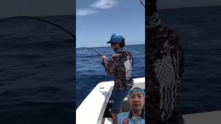 Hooking Fish in Record Time Shorts fishing fish ocean shortvideo shortsfeed [upl. by Elvia221]