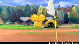 Combee In Camp  Pokemon Sword amp Shield [upl. by Eniamaj]