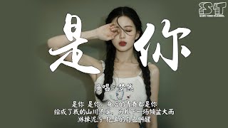 是你  梦然『是你 是你 身后的青春都是你，绘成了我的山川流溪』【动态歌词Pinyin Lyrics】 [upl. by Marlin148]