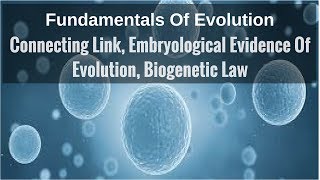 Connecting Link Embryological Evidence Of Evolution Biogenetic Law [upl. by Mattox]