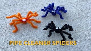 Pipe Cleaner Spiders  Small [upl. by Ileane]