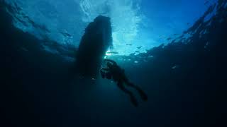 Tubo Volcánico de Garachico buceo  Visit Tenerife [upl. by Nioe]