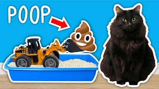 I Built A CAT POOP Cleaning Contraption [upl. by Pammi552]