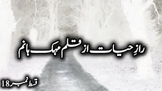 zaroon first meet up parishay zaman l raaz e hayat by Mehak hanam l revenge based novel episode 18 [upl. by Aiseneg]