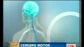 C5N  LOS ENIGMAS DEL CEREBRO CEREBRO MOTOR [upl. by Gussman]