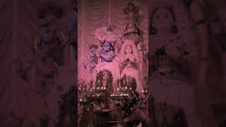 SadyojathamBhagavatam Rasam24 [upl. by Ytitsahc]