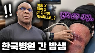 전치 6주 부상 입은 파이터 밥샙이 한국병원 가자 보인 반응 [upl. by Amikehs]