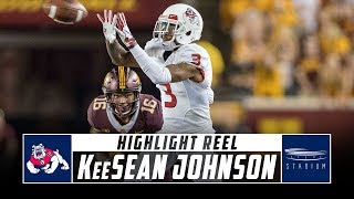 KeeSean Johnson Fresno State Football Highlights  2018 Season  Stadium [upl. by Anifled]