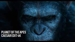 PLANET OF THE APES CAESAR EDIT 4K [upl. by Vernier]