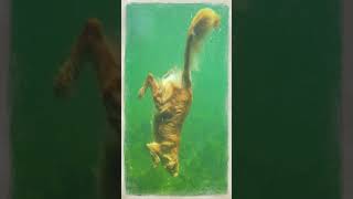 P1 Sensible dog dives to catch fish to make dinner for mom cute pets shorts [upl. by Arahsat]