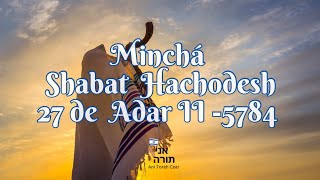 minchá shabat hachodesh [upl. by Cumine]