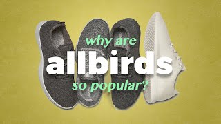 Why are Allbirds so popular [upl. by Joe]