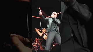 live Pitbull  Omg remix  jose iglesias  Candelita  Dangond  Omg  omg pitbull candelita bgm [upl. by Akenor646]