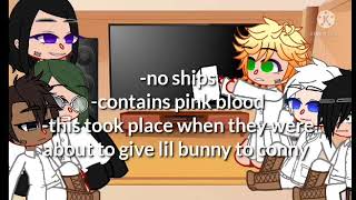 tpn reacts to emma aus song bad apple [upl. by Ragen105]