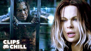 Selene vs Marius EPIC Final Fight  Underworld Blood Wars Kate Beckinsale [upl. by Annyl]