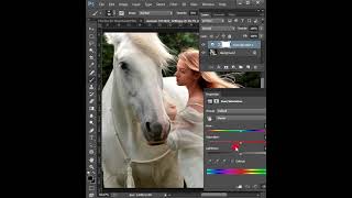 Adjustments Layers in Photoshop photoshop photoshopcourse [upl. by Ashby]