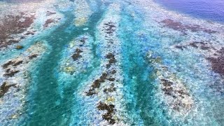 4K The Last Glow Coral Reefs in a Bleaching Crisis Okinawa 19 DJI Mavic 3 Hasselblad 沖縄 サンゴ 白化 [upl. by Ierna]