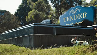 Tender  Official Trailer [upl. by Odlanyer]