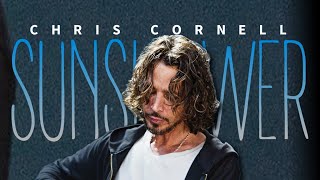 WAYBACK WEDNESDAY CHRIS CORNELL  SUNSHOWER 1999 dailyspins nowspinning [upl. by Ilenay574]