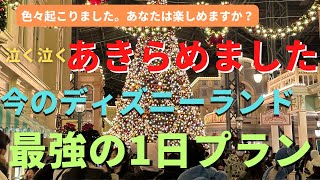 【ディズニーランド】結局、あきらめました。大混雑日！最強の1日プラン完全版 クリスマスのリアルレポート ディズニーvlog [upl. by Yenar]