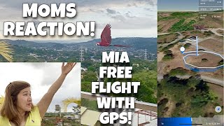 MOM REACTS TO MIAS FIRST FREE FLIGHT WITH GPS Finally malaya NA Mia MACAW PARROT  Murillo Bros [upl. by Hahcim]