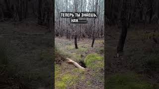 Теперь ты знаешь [upl. by Grimes]