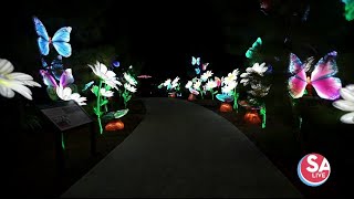 Check out this largerthanlife holiday light display [upl. by Galven]