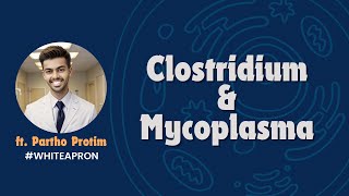 Clostridium amp Mycoplasma  Systemic Bacteriology Microbiology  White Apron [upl. by Rehpretsirhc41]