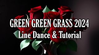 GREEN GREEN GRASS 2024  Line Dance  Dance amp Tutorial [upl. by Lerner]