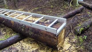 Milling logs into Lumber [upl. by Yelnik194]