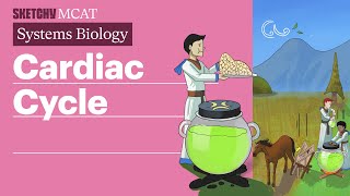 Cardiac Cycle Biology  Sketchy MCAT [upl. by Froma]