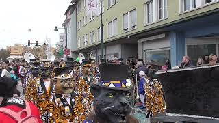 Guuggemusig LoschtmÃ¶lch Chriens Birsfelden Fasnacht 1722024 [upl. by Sunshine113]