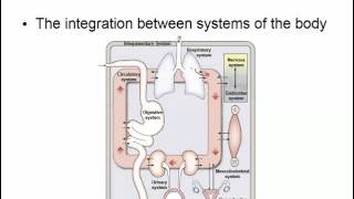 Physiology Intro Chapter 1 [upl. by Gwendolin691]