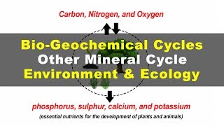 What is Phosphorus Sulphur Calcium Potassium Cycles  Environment amp Ecology [upl. by Starlene]