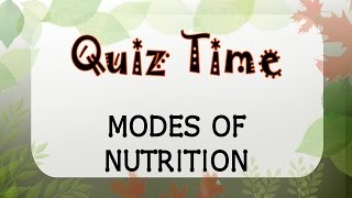 Quiz Time  Modes of Nutrition  Biology  Science  Letstute [upl. by Ennairak]