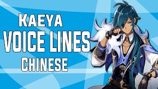 Kaeya  Voice Lines Chinese  Genshin Impact [upl. by Nira514]