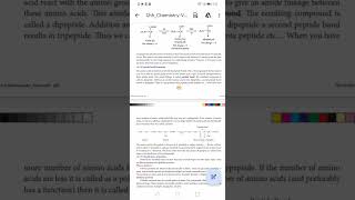 peptide bond formation 12th chemistry [upl. by Obadias]