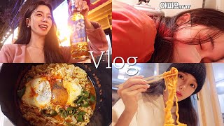 일상 vlog  꿀잼 200 꽉 찬 알콜샤워 일주일 대부도여행  야외 포장마차  청양고추 틈새라면 일주일치 고기 먹기 낙곱새 규카츠 오돌뼈 [upl. by Nnylrefinnej]