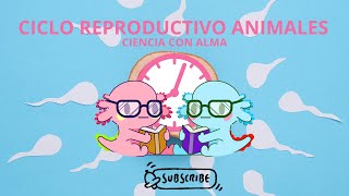 CICLO REPRODUCTIVO EN ANIMALES [upl. by Ranie]