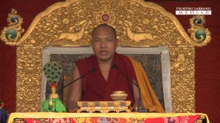 HH Karmapas teaching during the Tara empowerment at Dekyiling Tibetan settlement Dehradun [upl. by Aneetsirk]