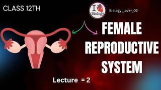 Female Reproductive System  Class 12th Biology  CBSEHaryana Board  Lecture 2 [upl. by Arluene]