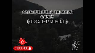 AZER BÜLBÜL amp TALADRO  CANEY Slowed amp Reverb [upl. by Lola]