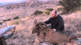 Gage Aoudad amp Mule Deer Hunt HD [upl. by Drhcir940]