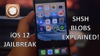 iOS 12 SHSH BLOBS EXPLAINED  How to save and use them [upl. by Alberto692]